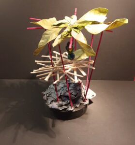 464 IMG_20211030_173928