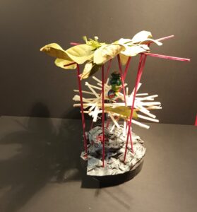 464 IMG_20211030_173938