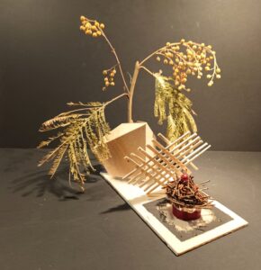 465 IMG_20211030_174104