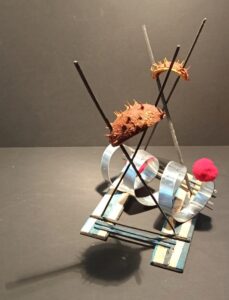 466 IMG_20211030_174233