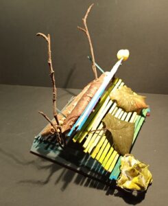 474 IMG_20211030_175312