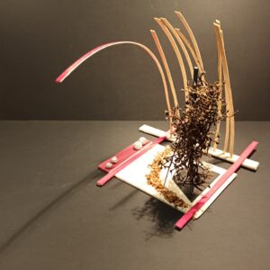 476 IMG_20211030_175517