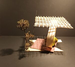 382 IMG_20211123_183806