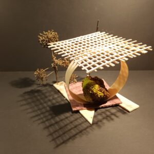 382 IMG_20211123_183813