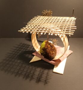 382 IMG_20211123_183819