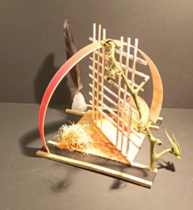 383 IMG_20211123_183948